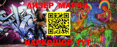 прущие грибы Кандалакша