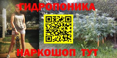 прущие грибы Кандалакша