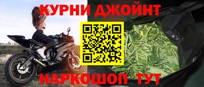 прущие грибы Кандалакша