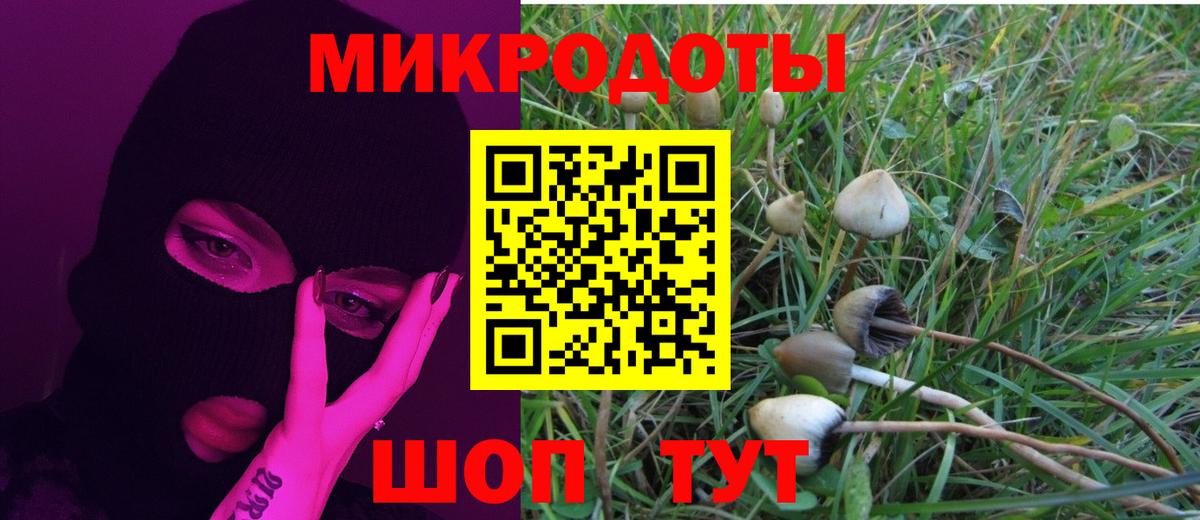 Галлюциногенные грибы Cubensis Янаул