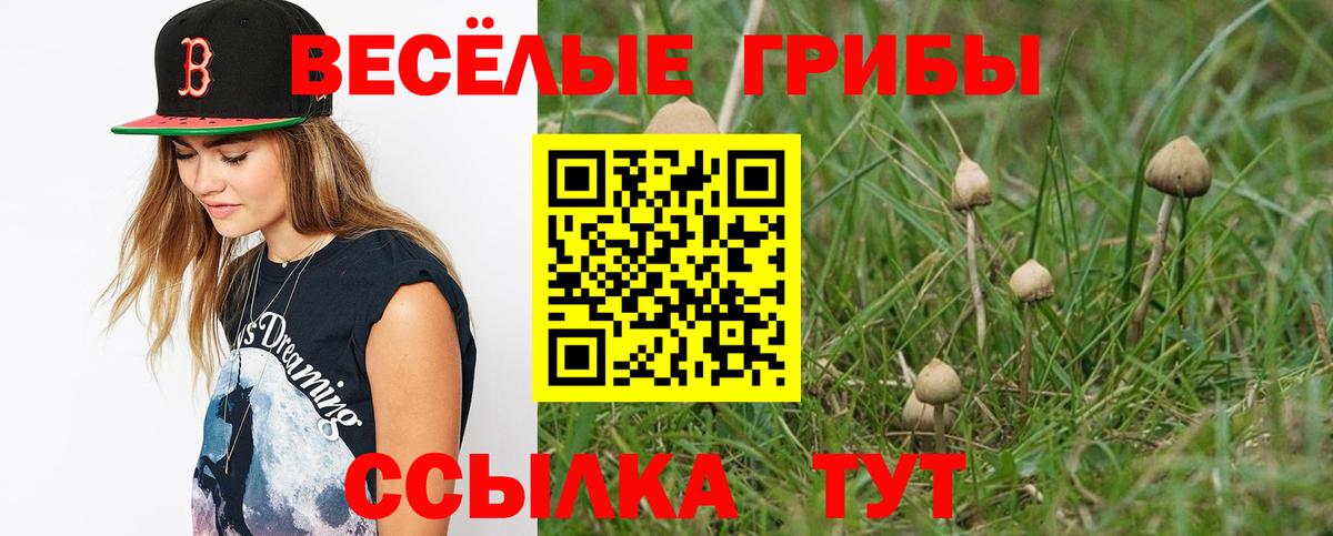 Галлюциногенные грибы мухоморы  Вход с VPN  Галлюциногенные грибы MAGIC MUSHROOMS  Янаул 